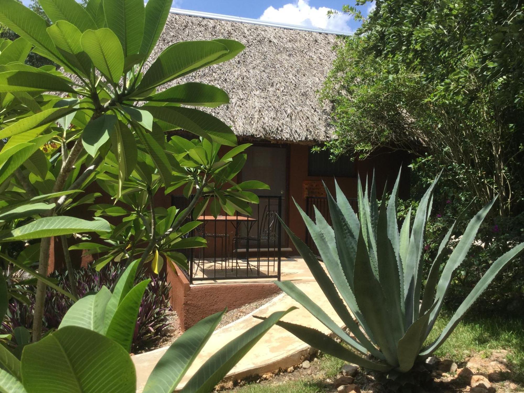 The Pickled Onion B&B And Restaurant Uxmal Санта-Элена Номер фото