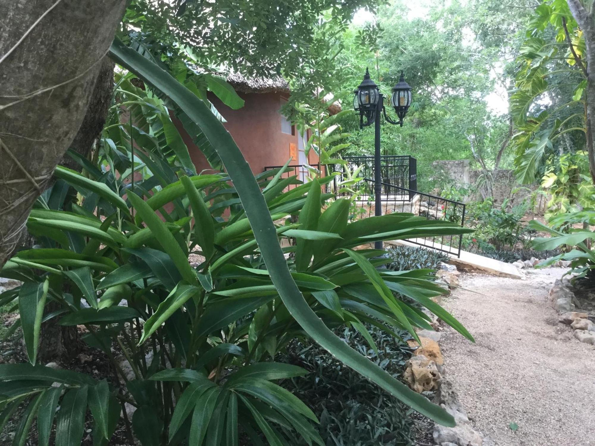 The Pickled Onion B&B And Restaurant Uxmal Санта-Элена Номер фото