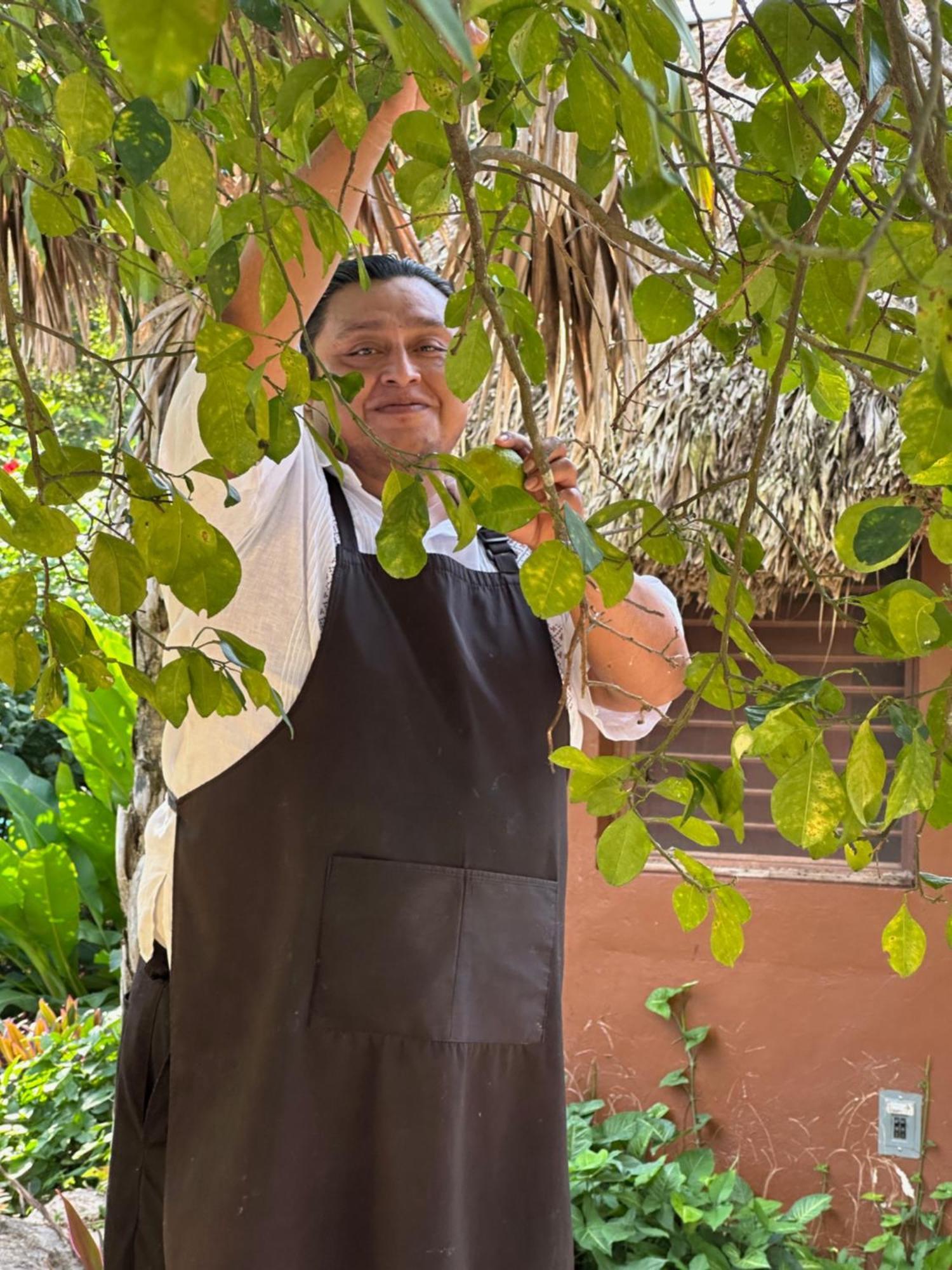 The Pickled Onion B&B And Restaurant Uxmal Санта-Элена Экстерьер фото