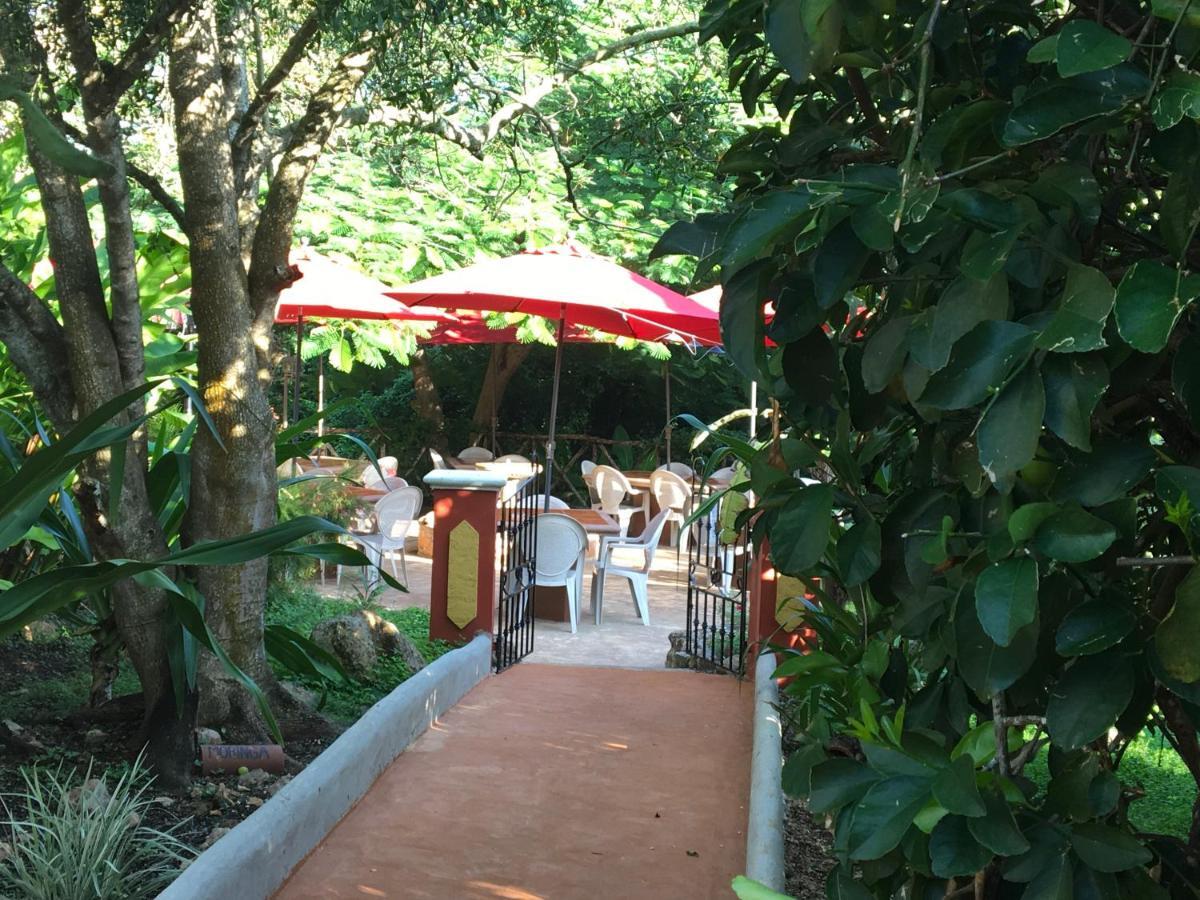 The Pickled Onion B&B And Restaurant Uxmal Санта-Элена Экстерьер фото