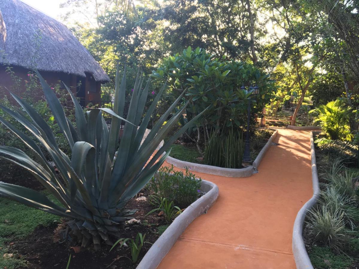 The Pickled Onion B&B And Restaurant Uxmal Санта-Элена Экстерьер фото