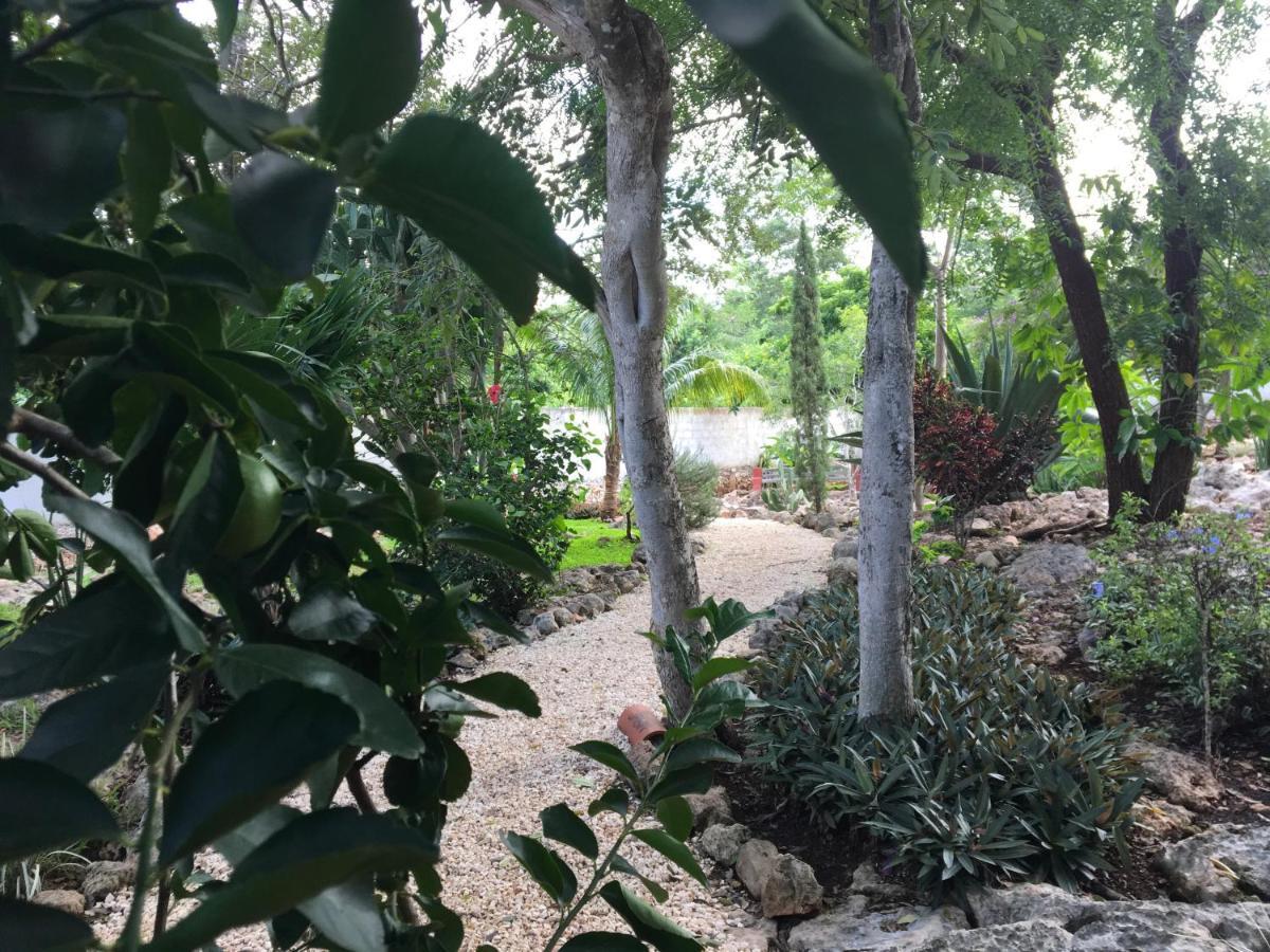 The Pickled Onion B&B And Restaurant Uxmal Санта-Элена Экстерьер фото