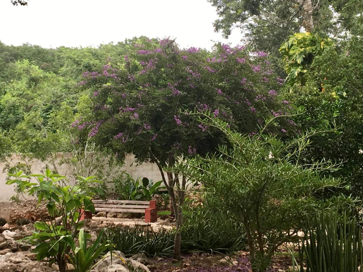 The Pickled Onion B&B And Restaurant Uxmal Санта-Элена Экстерьер фото