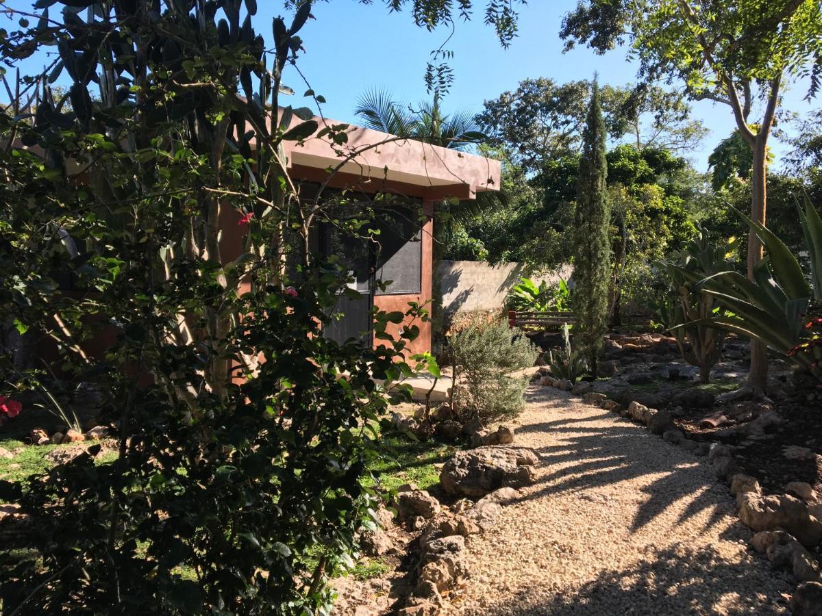 The Pickled Onion B&B And Restaurant Uxmal Санта-Элена Экстерьер фото